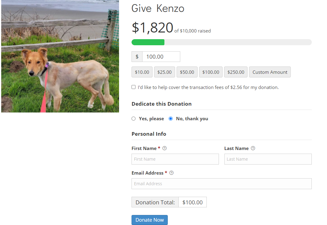 dog-donation dog-donation