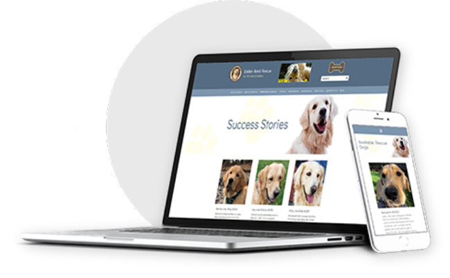 web design portland web design portland